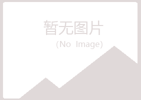 宁夏谷丝化学有限公司